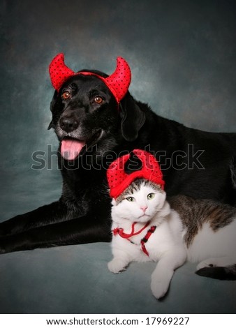 Cat and Dog Wearing Devil Halloween Costumes