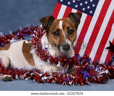 Little dog with USA flag and Garland patriotic 4th 0f July theme