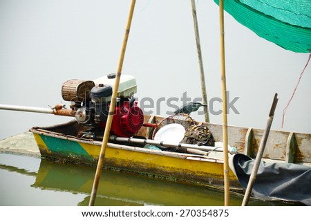 Bird on Boat in Mangrove forest or Intertidal forest at Bangkhunthein in Bangkok Thailand.