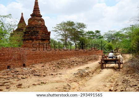 Burmese people riding cow cart at Ancient City in Bagan (Pagan) Archaeological Zone, Myanmar with over 2000 Pagodas and Temples.