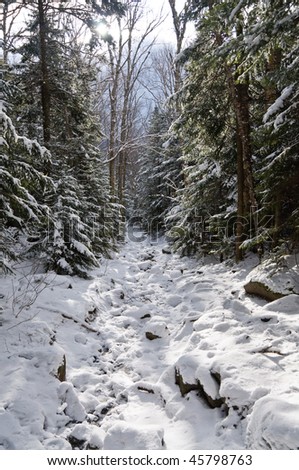 A snow-covered mountain trail in winter in a vertical perspective