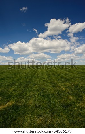 A green field on a sunny summer day in vertical