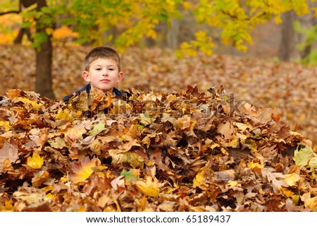 Head of a boy sticking out of a pile of leaves in horizontal