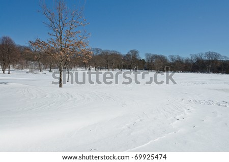 Snowy landscape in winter in horizontal