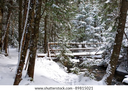 View of a snow-covered bridge on a mountain path in winter in horizontal