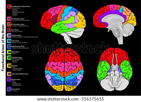 download Computational Combinatorial download Computational
