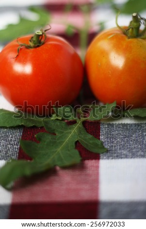 Fresh harvest tomatoes on checked table cloth. Selective focus, soft focus and shallow depth of fields