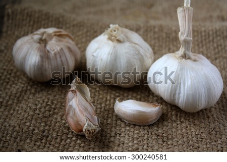 Fresh Garlic with gunny sack background