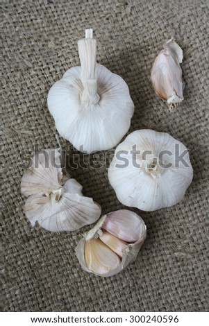 Fresh Garlic with gunny sack background