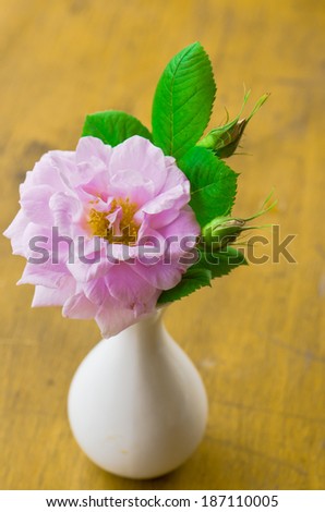 briar flower in a vase