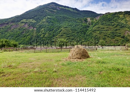 Haystack in yard located near foothill