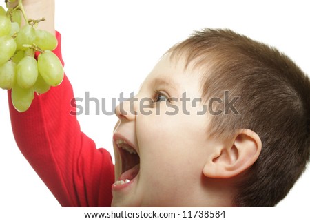Boy going to eat grapes isolated over white