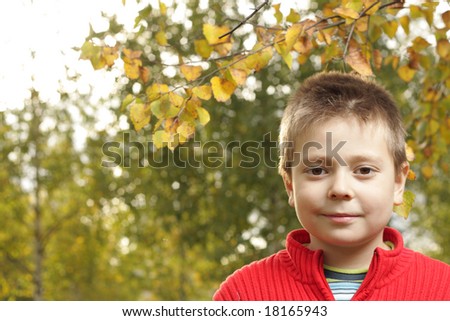 Boy in red jacket posing in autumn park looking to camera