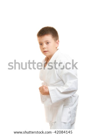 Karate Fists