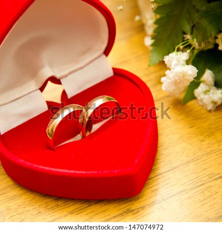 Velvet box with wedding rings