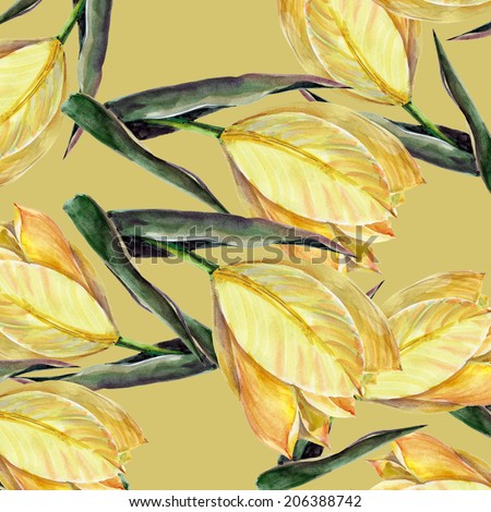 Yellow tulip on a gentle background