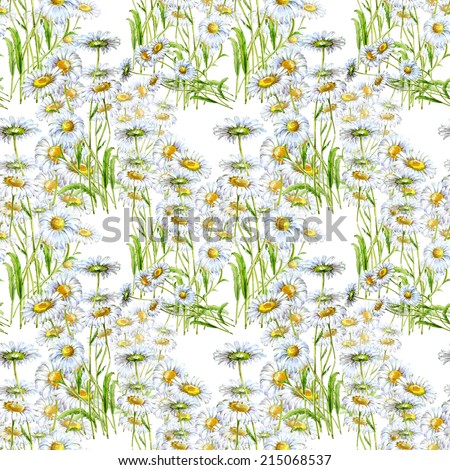 Daisies on a white background, pattern seamless