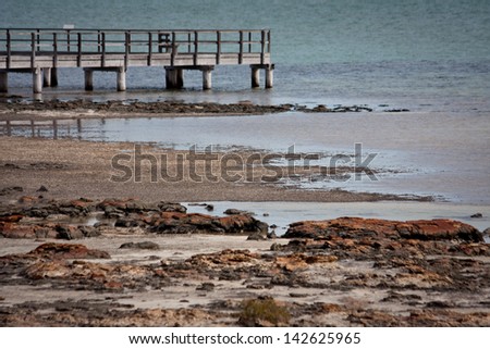 Stromatolites in the Hamelin Pool, Shark Bay, Western Australia