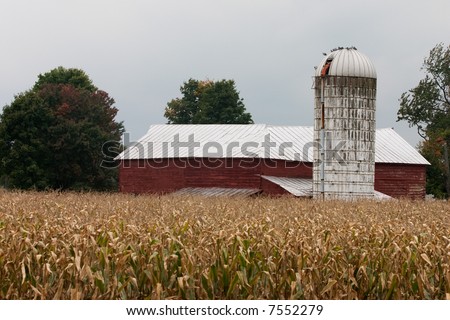 Old red barn, silo and corn field at harvest time