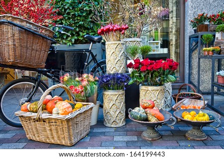 garden bike decoration
