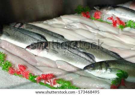Fresh catch of fish
