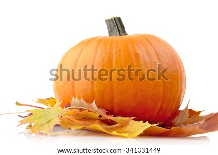 Decoration of pumpkin for thanksgiving day with autumn leaves isolated on white background