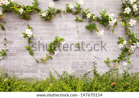 Brick Wall and Flowers