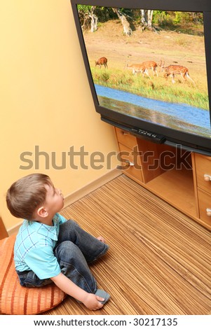 Little boy watching cinema on TV. TV screen -  photo of the author \