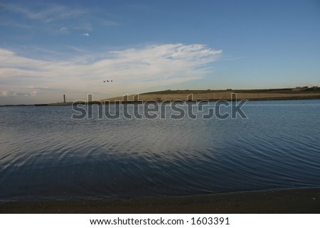 Jamaica Bay with flying brant geese (Branta bernicla), Jamaica Bay, Queens, New York