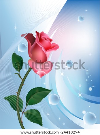 Rose on blue with water bubbles