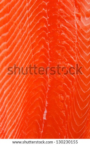 raw salmon fillet isolated over white background