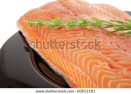 piece of salmon