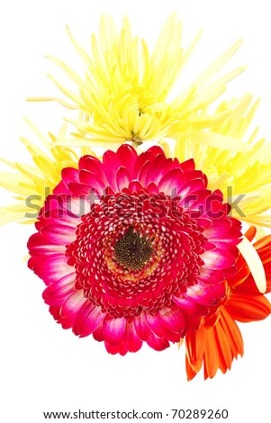 orange flowers bouquet. stock photo : red and orange gerber, tuberose and gold mums flowers bouquet isolated on