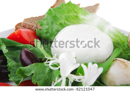 salad and low fat cheese on white plate