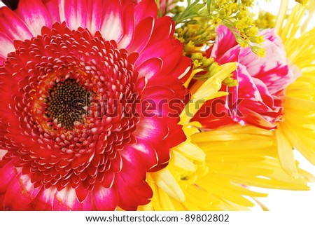 red and orange gerbera , rose and gold mums flowers in bouquet isolated over pure white background
