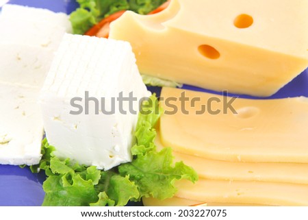 set of gourmet delicatessen cheese slice and chunk ( bar)  white goat greek yellow french aged on green lettuce salad with tomatoes on blue plate isolated over white background