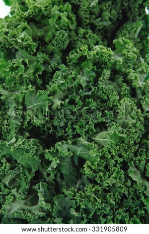 fresh raw green kale packed in plastic box ready to sell isolated over white background