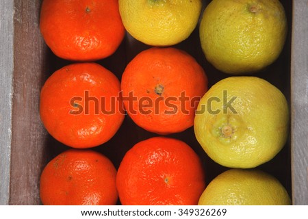 fresh raw lemon and mandarin packed in wooden box ready for transportation isolated over white background