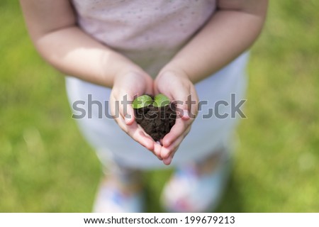 Little girl holding new sprout in her hands