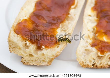 A bee on a slice of bread and jam