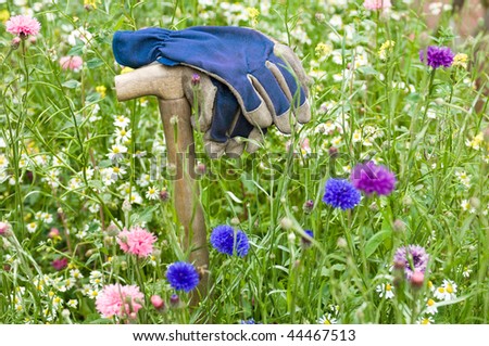 Blue working gloves in a wild flower meadow