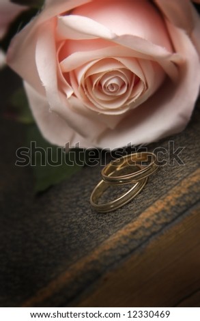 stock photo Wedding rings on Bible