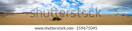 Desert landscape at Park of Corralejo, Fuerteventura, Canary islands, In this Park you can see the famous sand dunes of Corralejo.