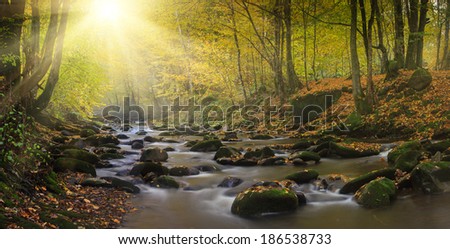 Magic river in forest, autumn landscape