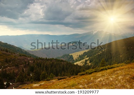 Landscape spring mountain valleys in the sun