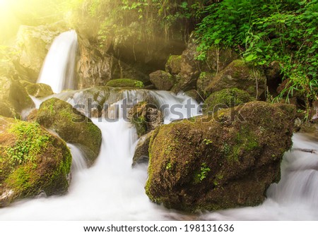Beautiful small waterfall, landscape in the mountains with lush green bush, rocks and flowing water in sunlight.