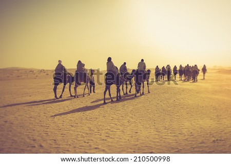 Sahara desert. Filtered image:cross processed vintage effect.