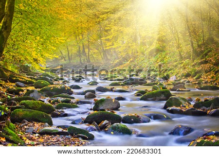 Magic river in forest, autumn landscape.