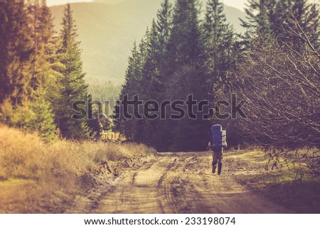 Lone traveler with a backpack walking along the road through the forest in the mountains. Filtered image:cross processed vintage effect.