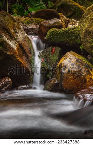 Beautiful small waterfall landscape in the mountains with lush green bush, rocks and flowing water.